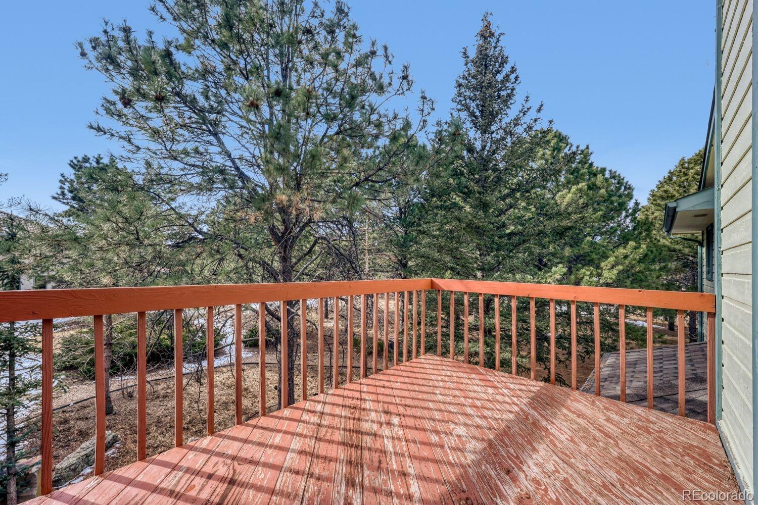 MLS Image #29 for 225  sugarbush drive,monument, Colorado