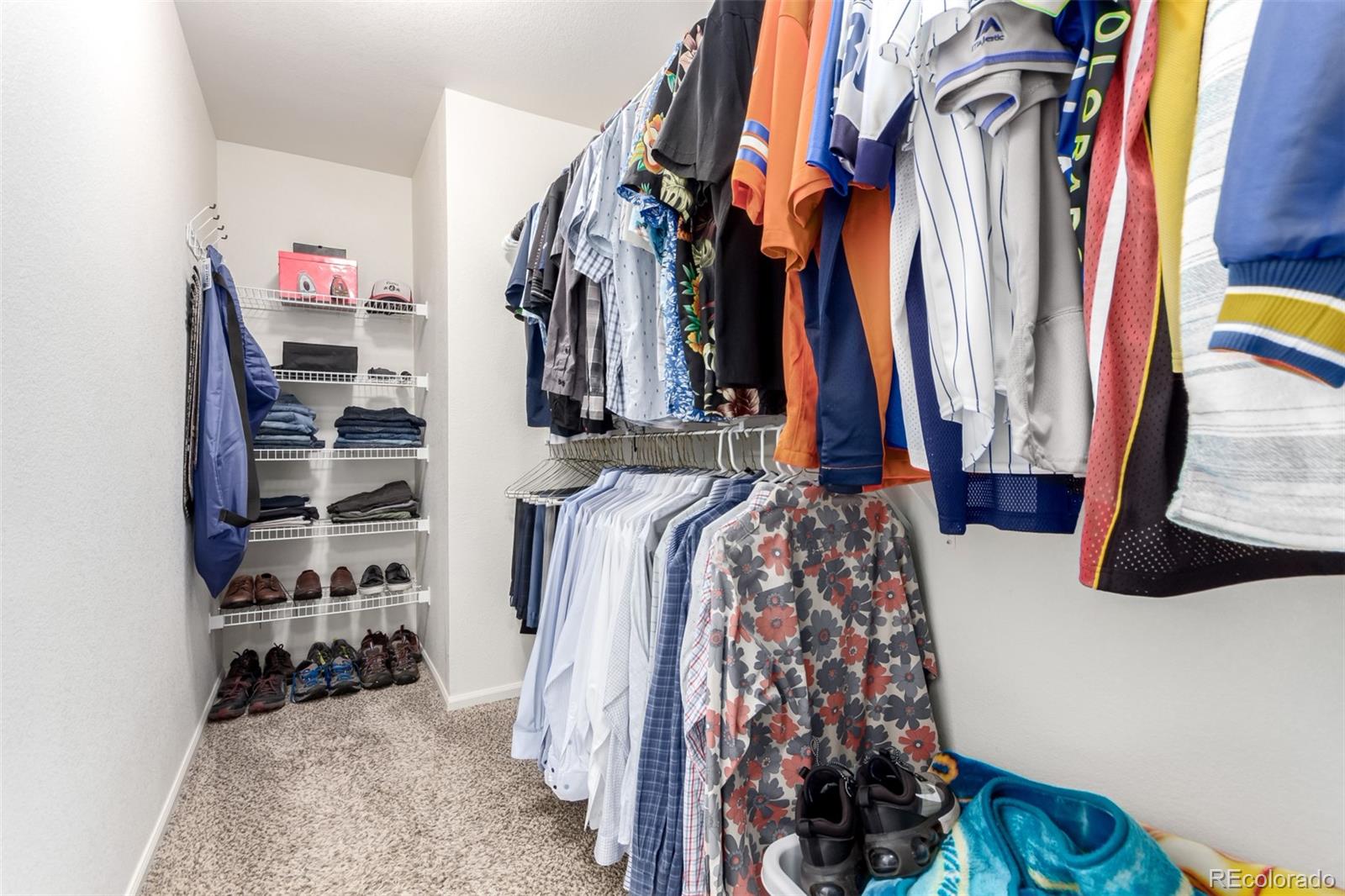 MLS Image #16 for 3505  dinosaur street,castle rock, Colorado
