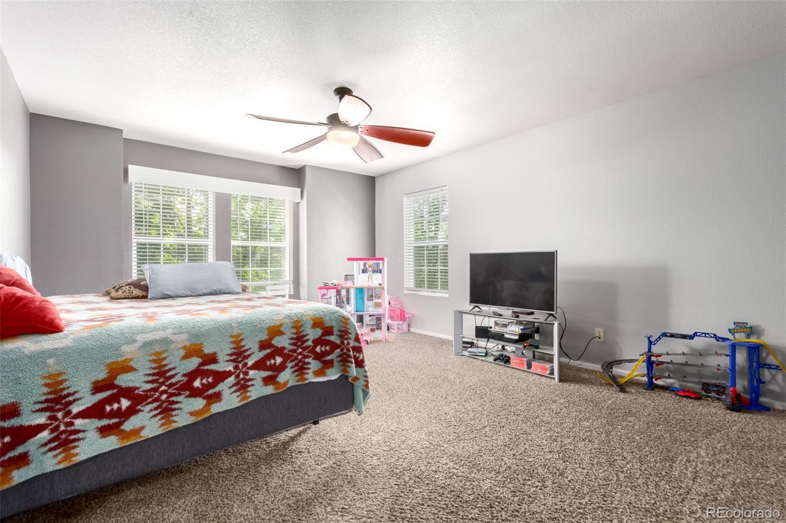 MLS Image #18 for 3505  dinosaur street,castle rock, Colorado