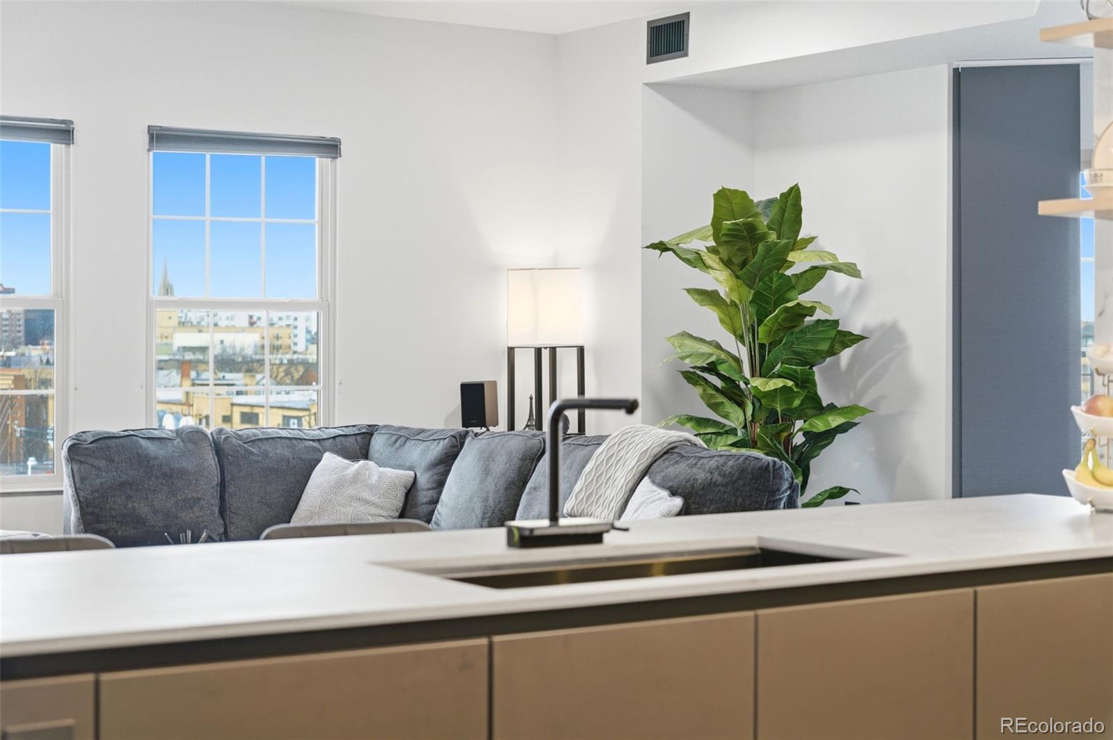 MLS Image #12 for 975 n lincoln street 6g-n,denver, Colorado