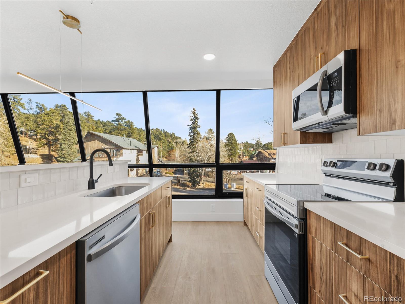 MLS Image #6 for 27972  meadow drive,evergreen, Colorado