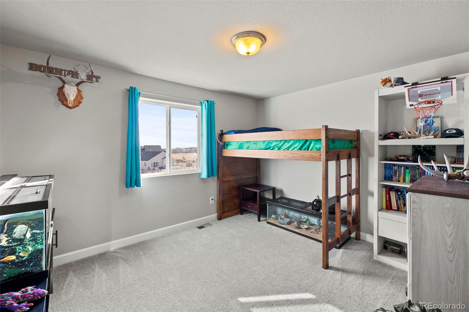 MLS Image #20 for 13153  crooked hill drive,peyton, Colorado