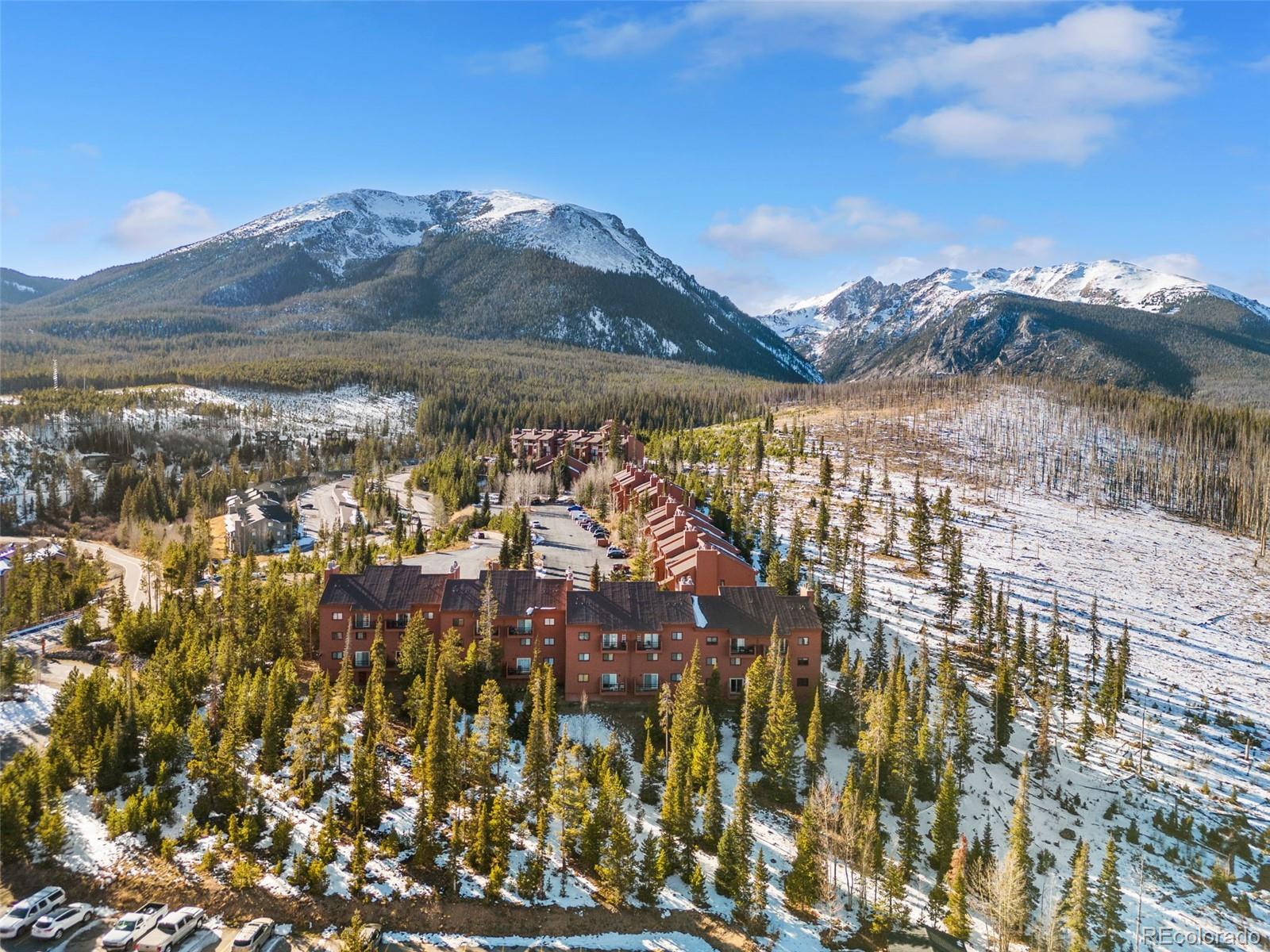 MLS Image #3 for 91100  ryan gulch road,silverthorne, Colorado
