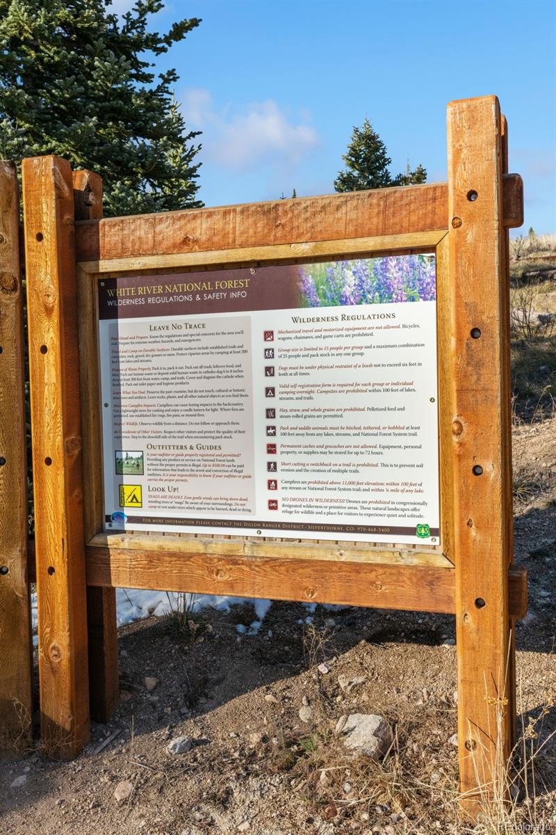 MLS Image #39 for 91100  ryan gulch road,silverthorne, Colorado