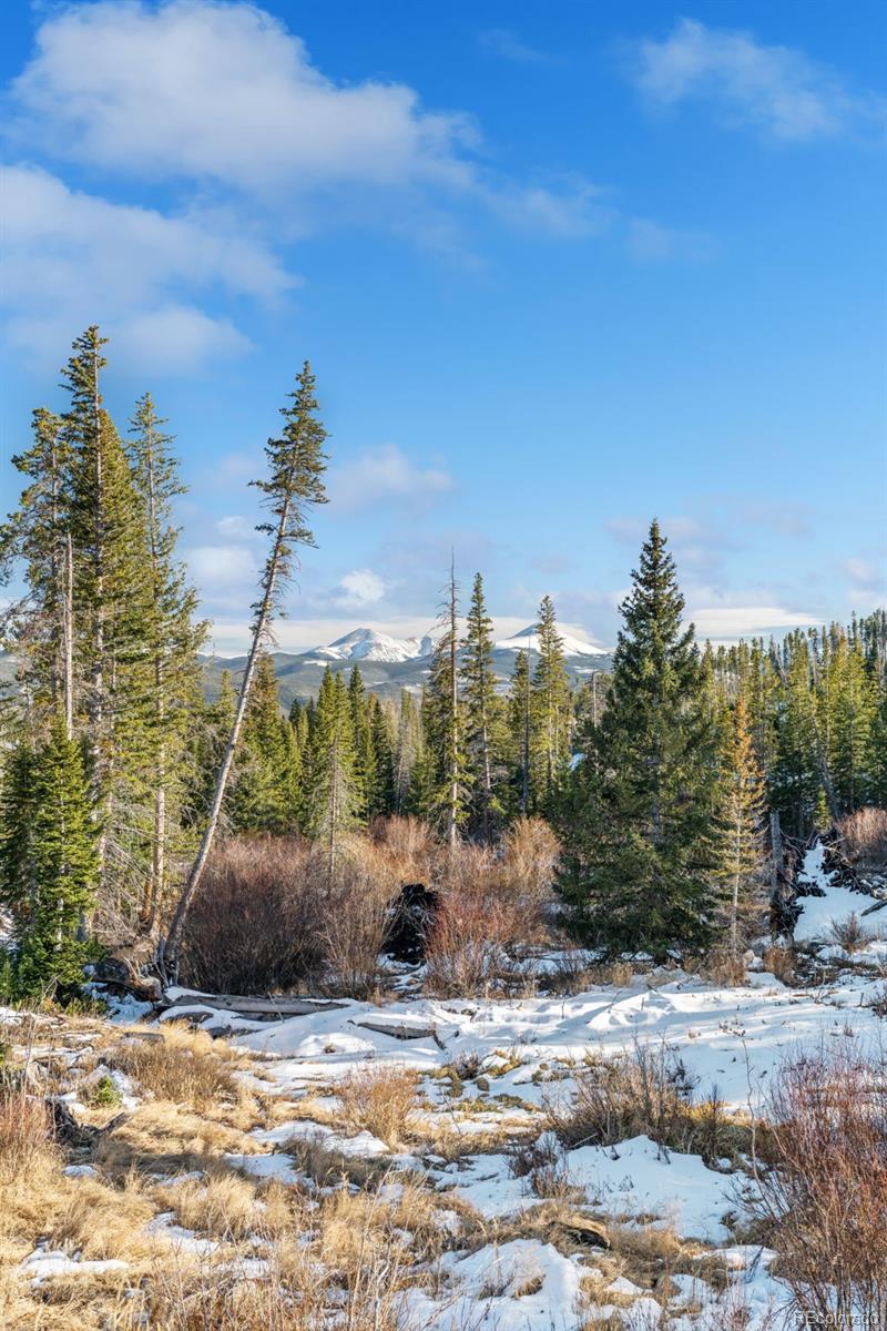 MLS Image #40 for 91100  ryan gulch road,silverthorne, Colorado
