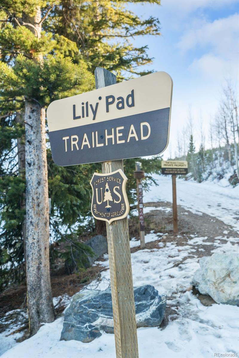 MLS Image #41 for 91100  ryan gulch road,silverthorne, Colorado