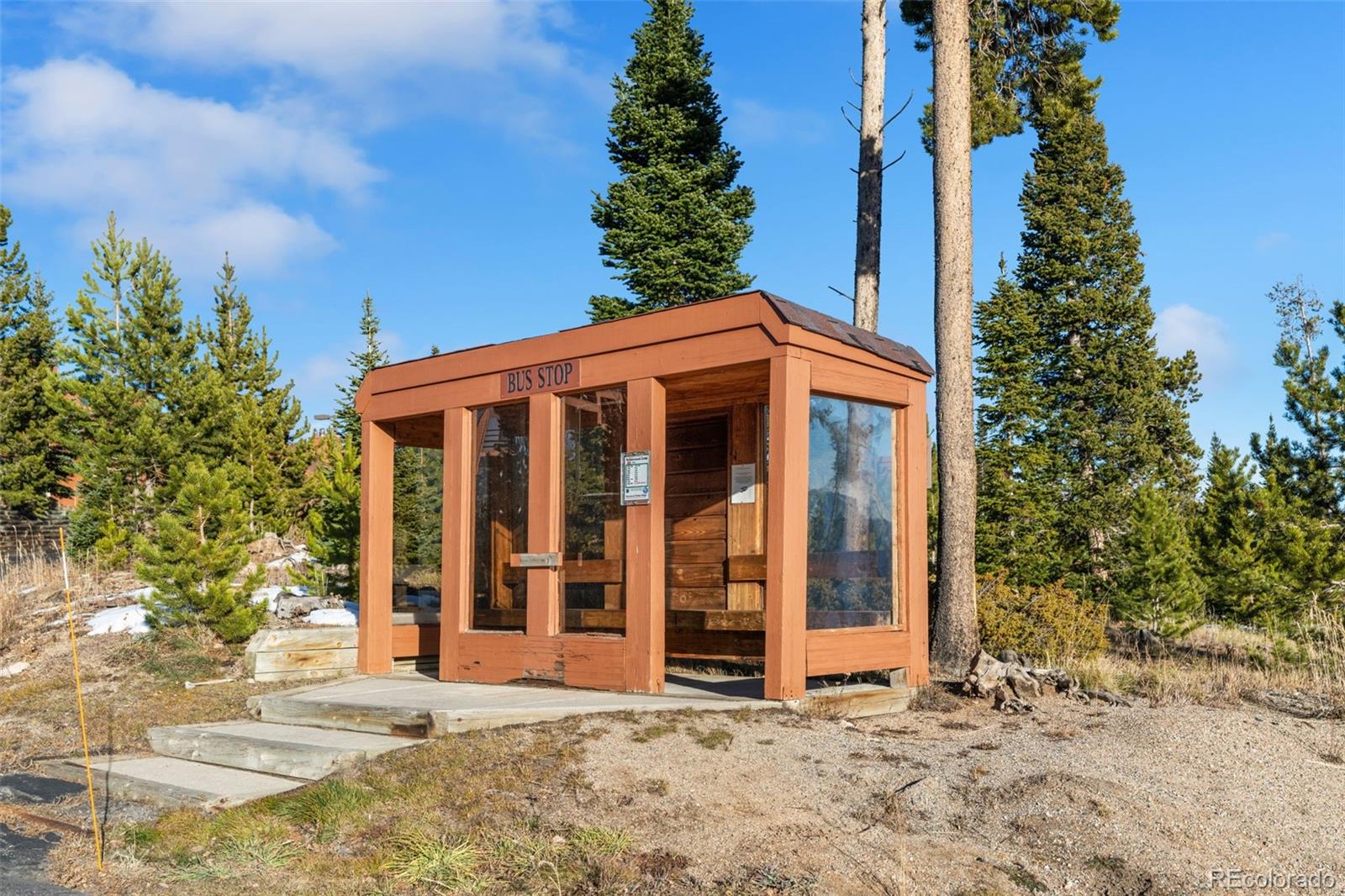 MLS Image #43 for 91100  ryan gulch road,silverthorne, Colorado