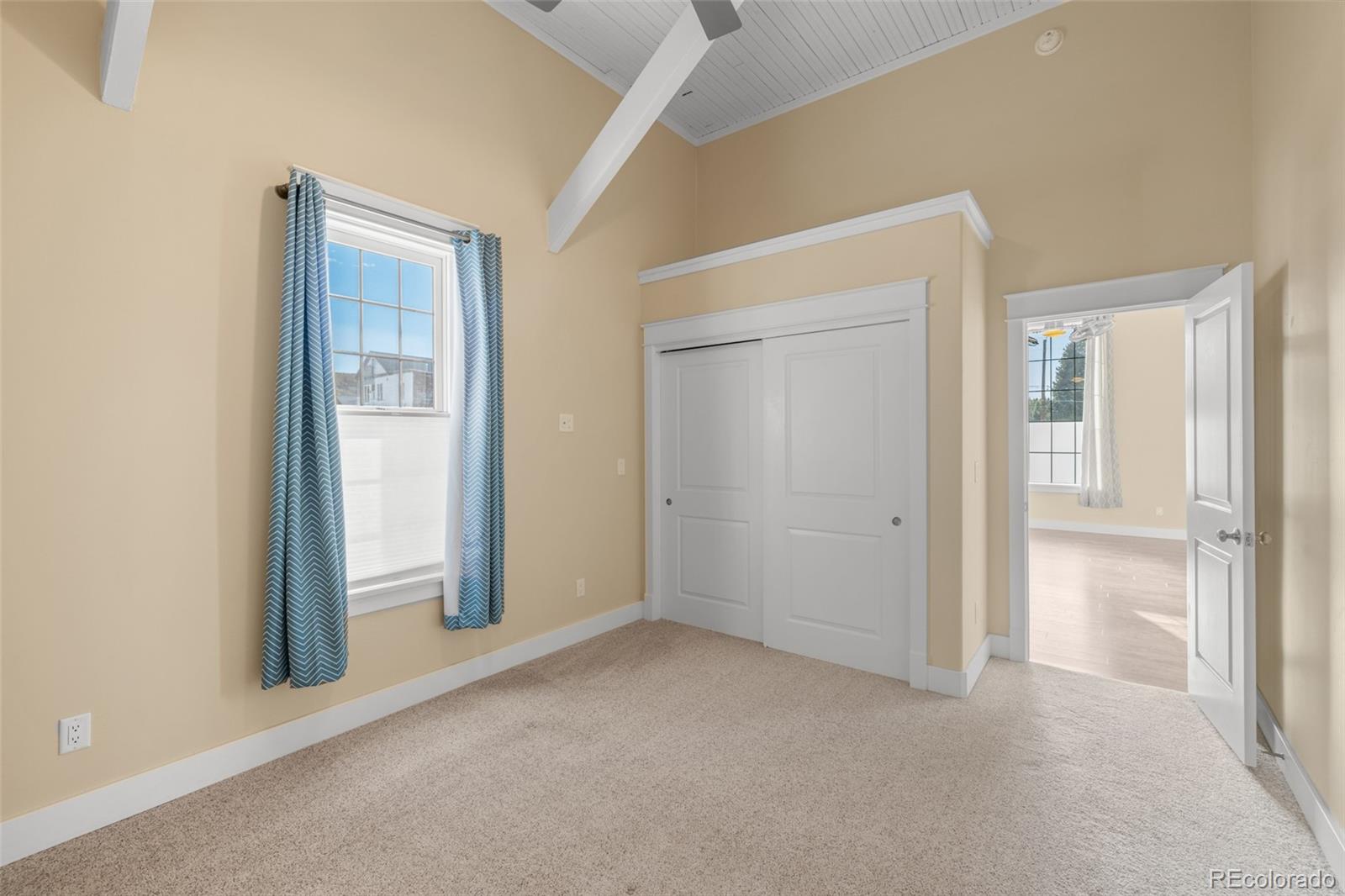 MLS Image #9 for 600  chestnut street,leadville, Colorado