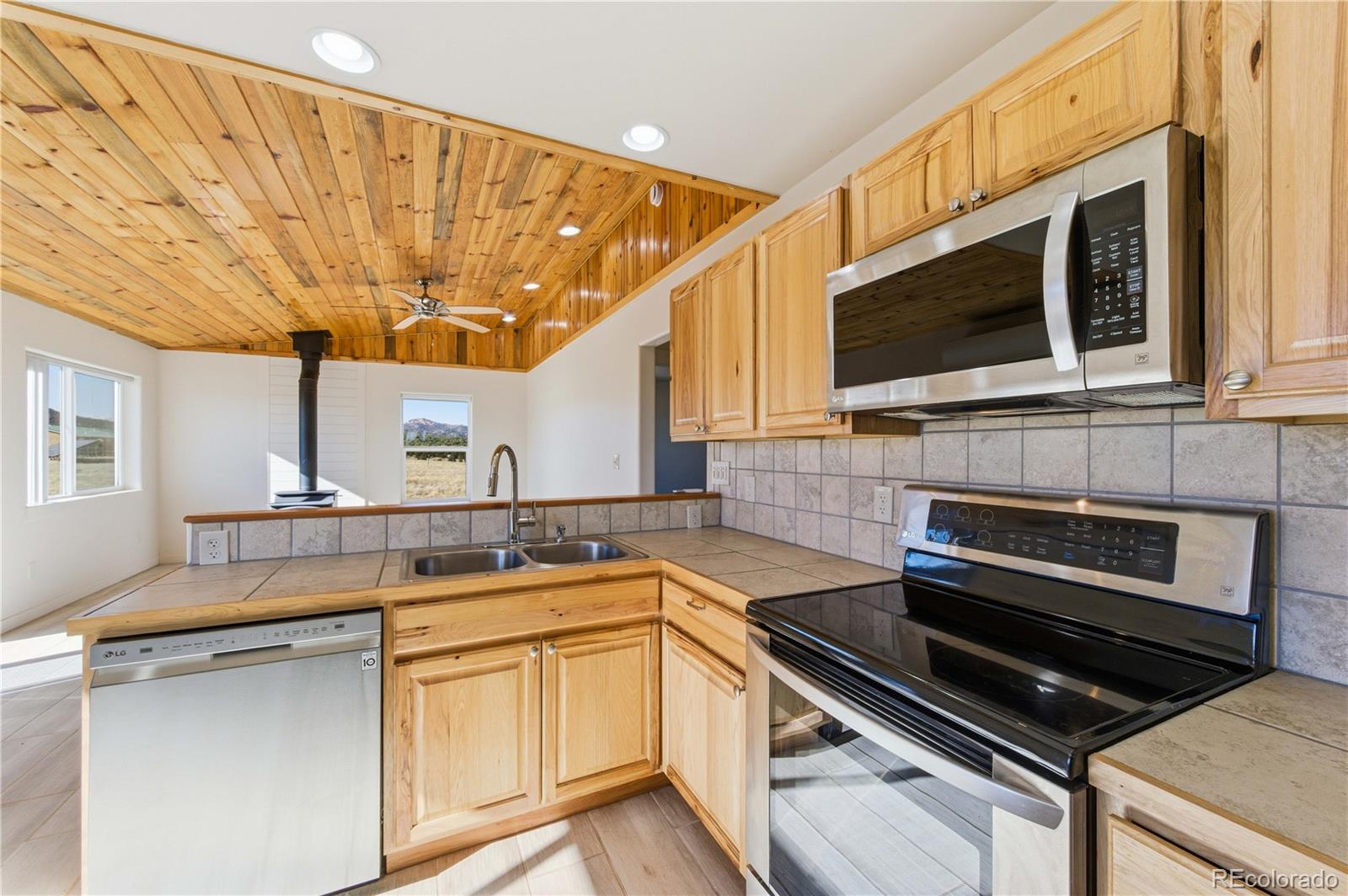 MLS Image #13 for 1863  16th trail,cotopaxi, Colorado