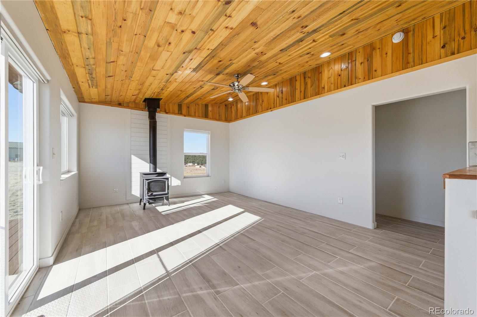 MLS Image #14 for 1863  16th trail,cotopaxi, Colorado