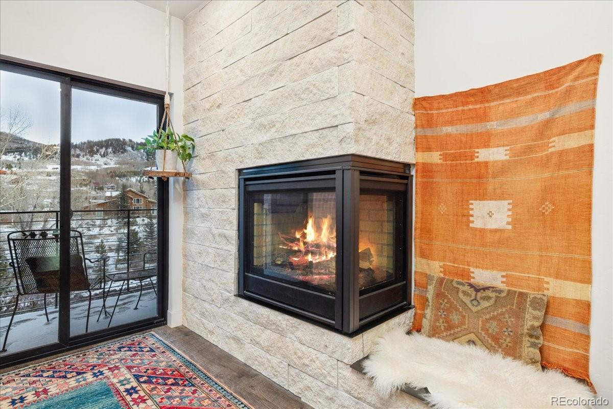MLS Image #10 for 930  blue river parkway,silverthorne, Colorado