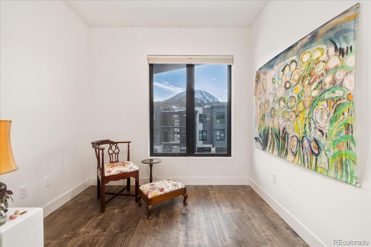 MLS Image #15 for 930  blue river parkway,silverthorne, Colorado