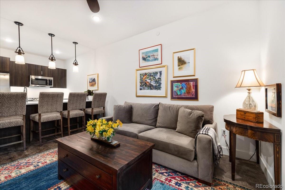 MLS Image #9 for 930  blue river parkway,silverthorne, Colorado