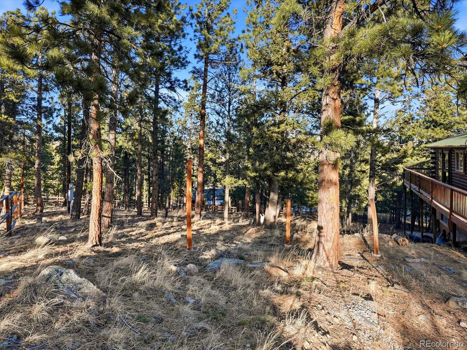 MLS Image #34 for 201  moss rock road,bailey, Colorado