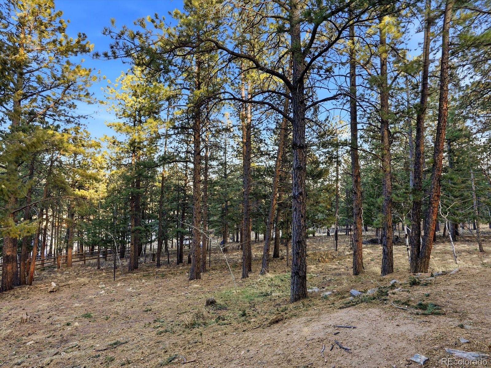 MLS Image #35 for 201  moss rock road,bailey, Colorado