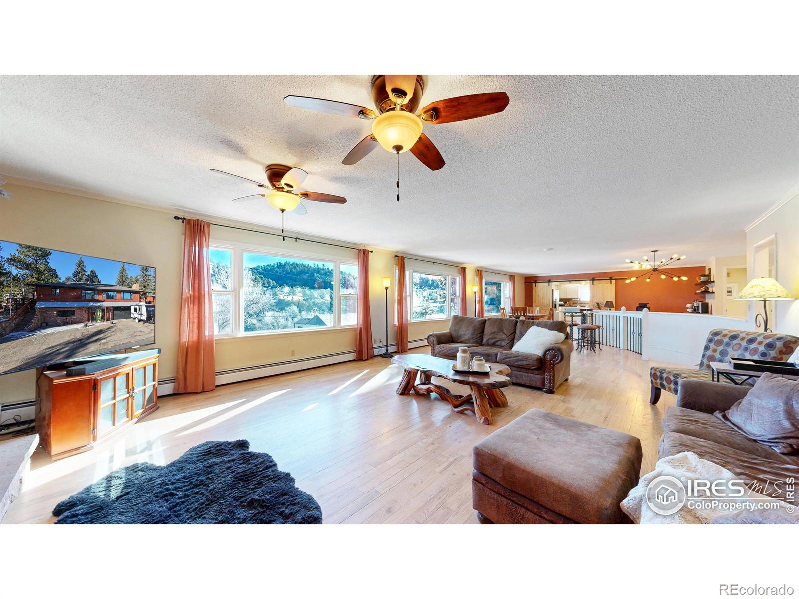 MLS Image #10 for 141  courtney lane,estes park, Colorado