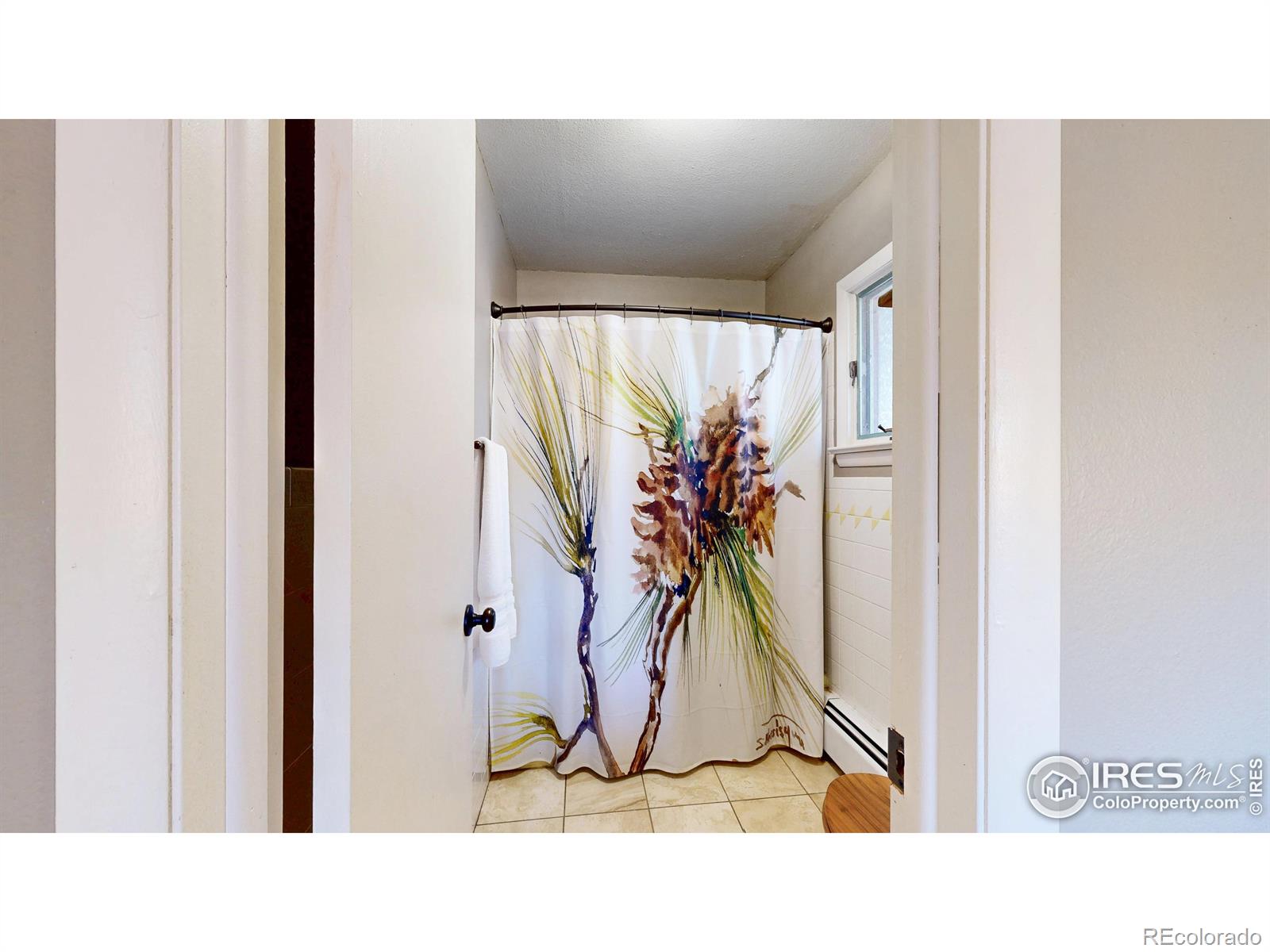 MLS Image #4 for 141  courtney lane,estes park, Colorado