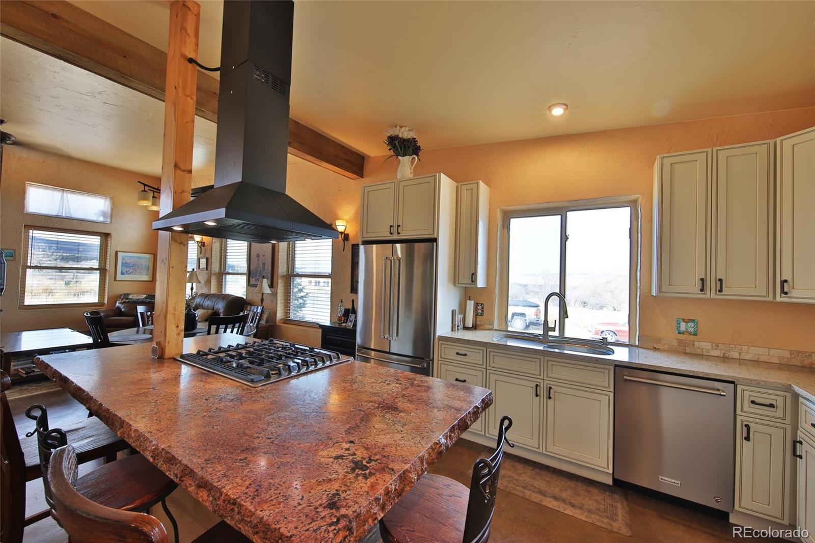 MLS Image #9 for 48751  cool creek drive,mesa, Colorado