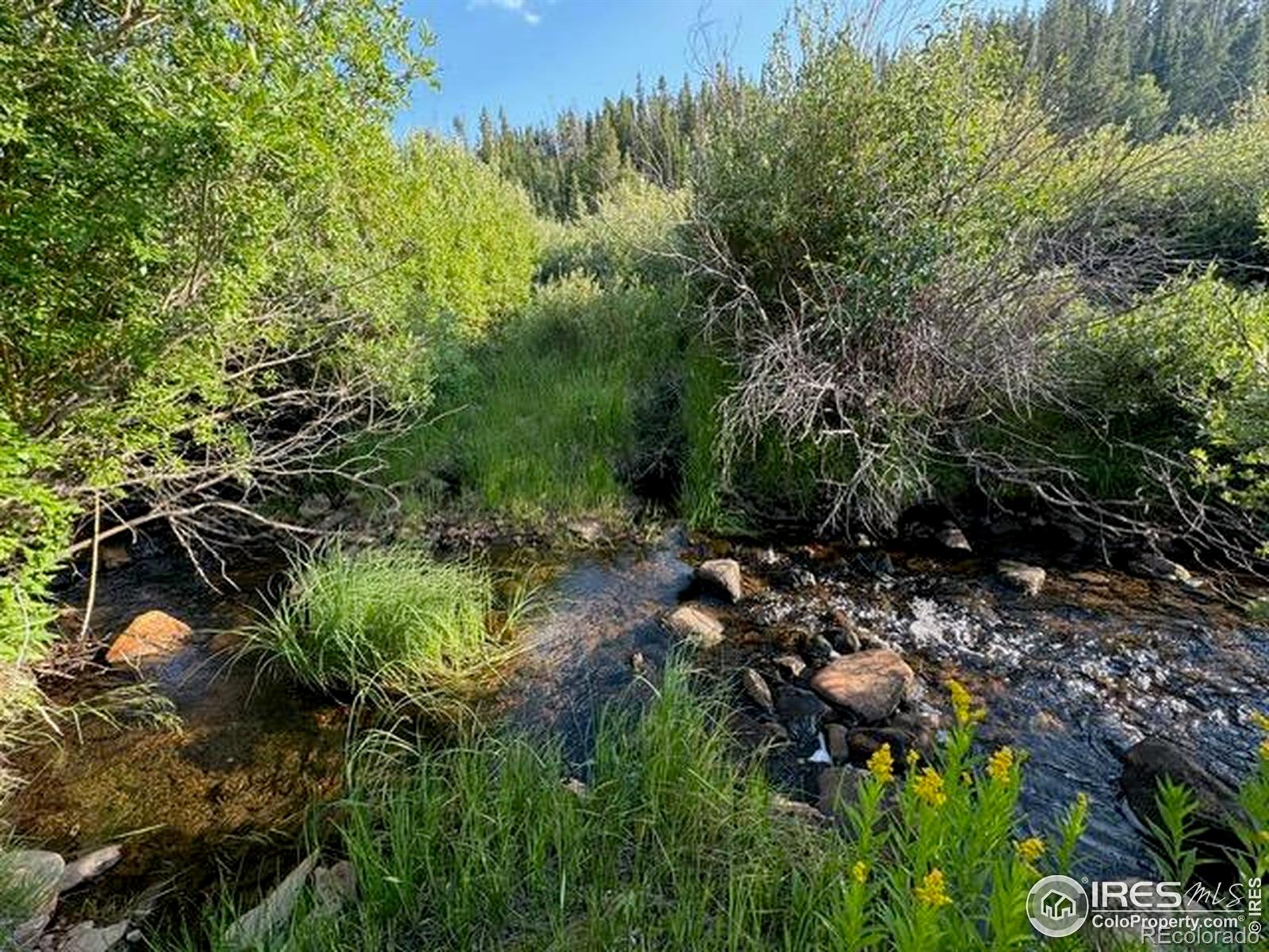 MLS Image #28 for 3400  highway 127 ,walden, Colorado