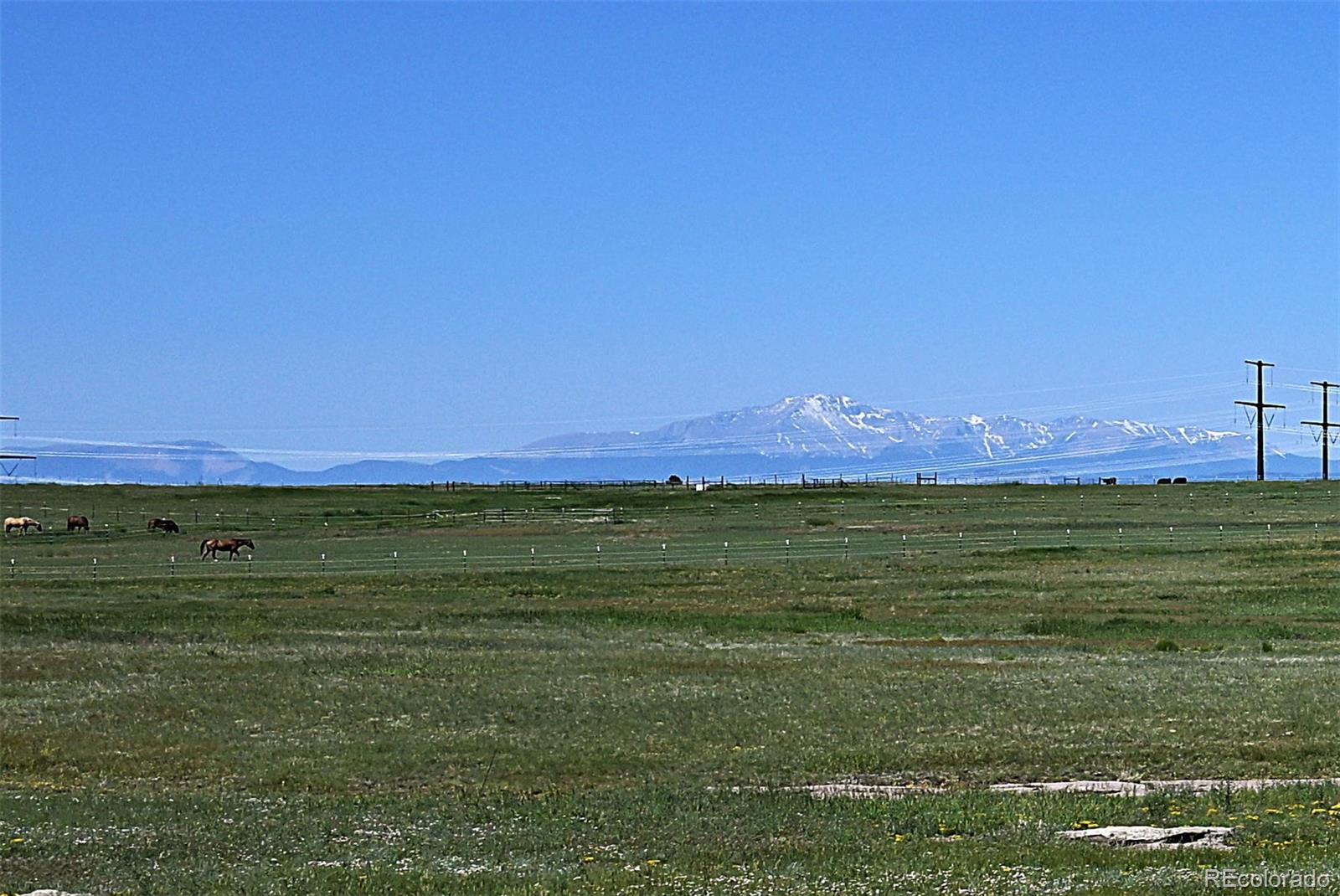 MLS Image #29 for 25995  cave spring trail,elbert, Colorado