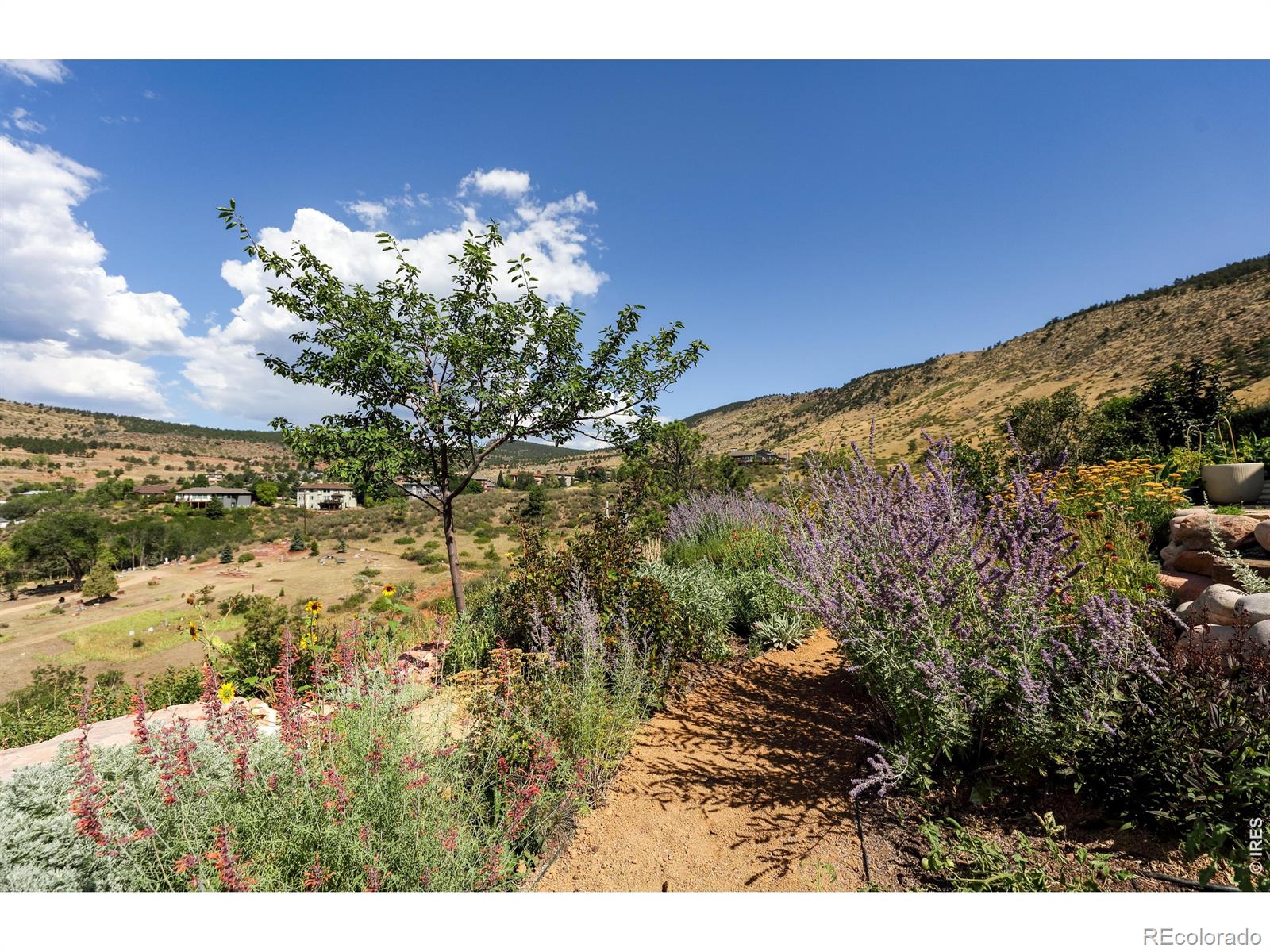 MLS Image #34 for 125  longs peak drive,lyons, Colorado