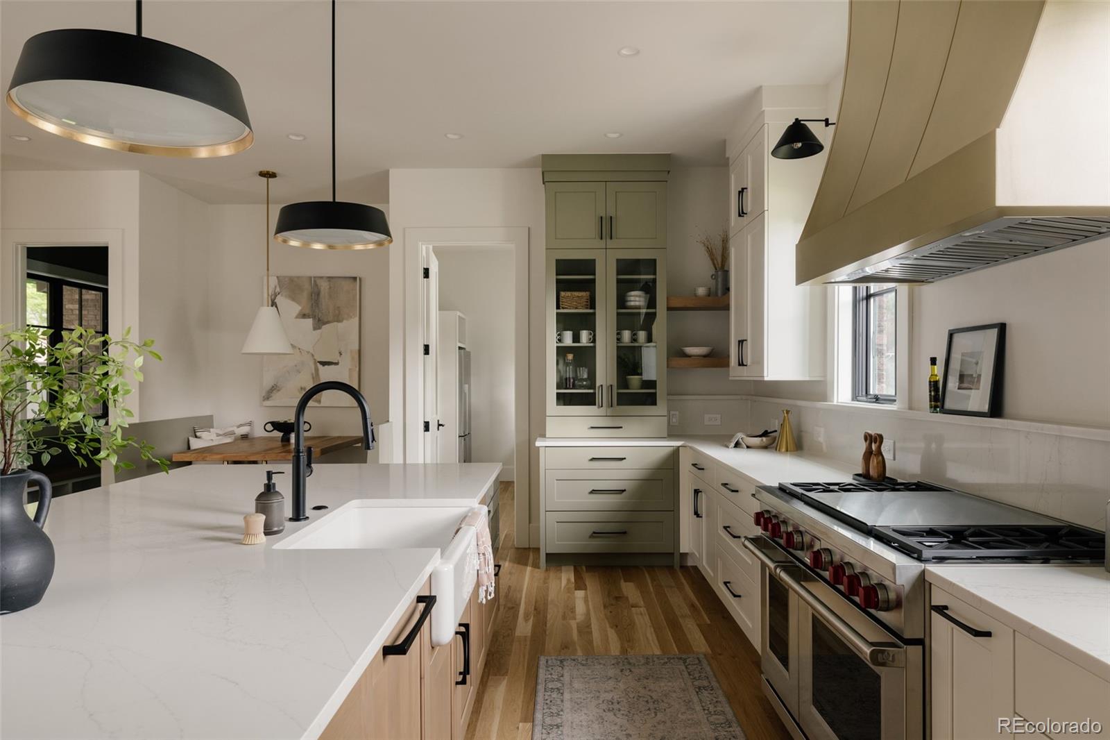 MLS Image #4 for 295  kearney ,denver, Colorado