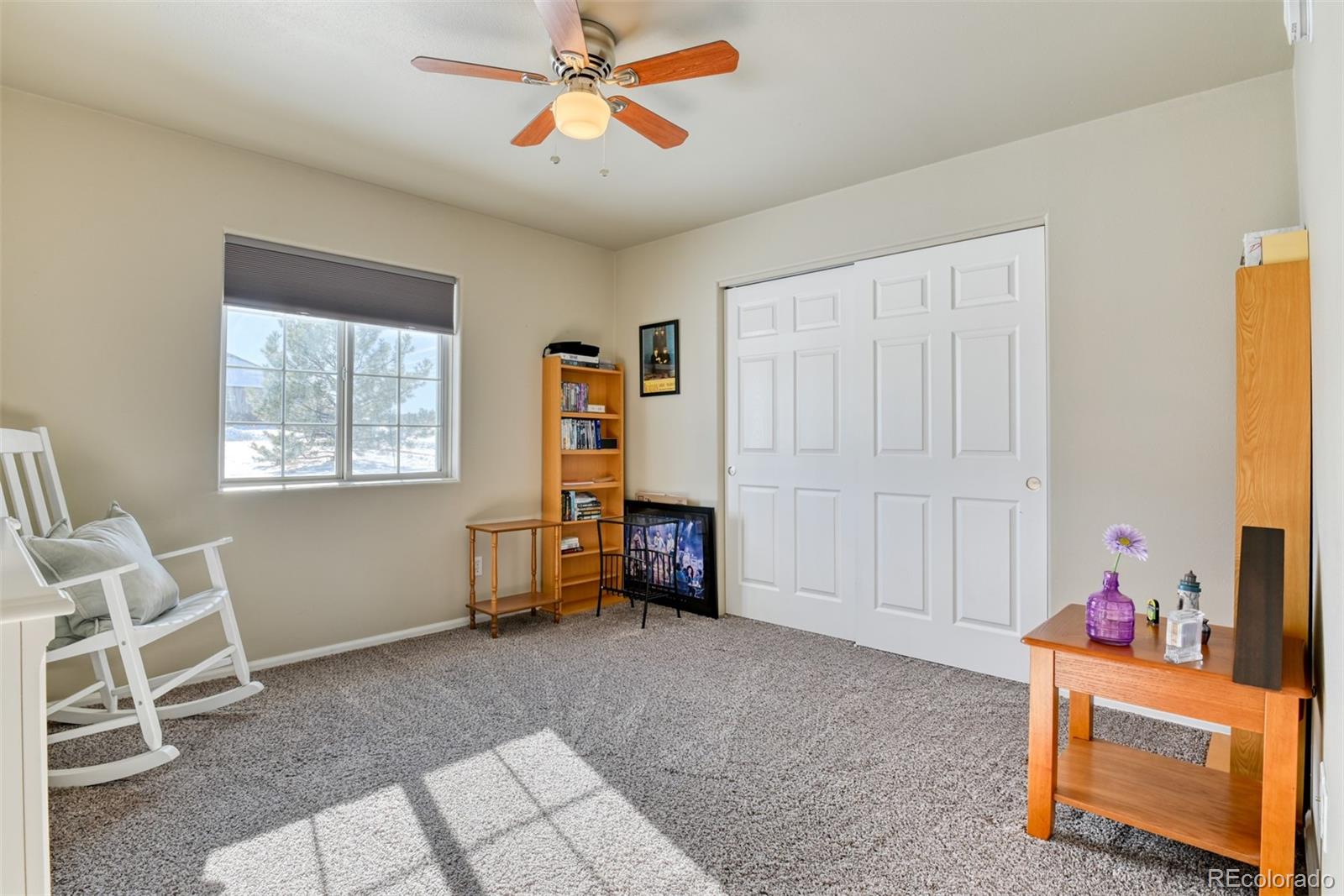 MLS Image #28 for 17  garfield circle,florissant, Colorado