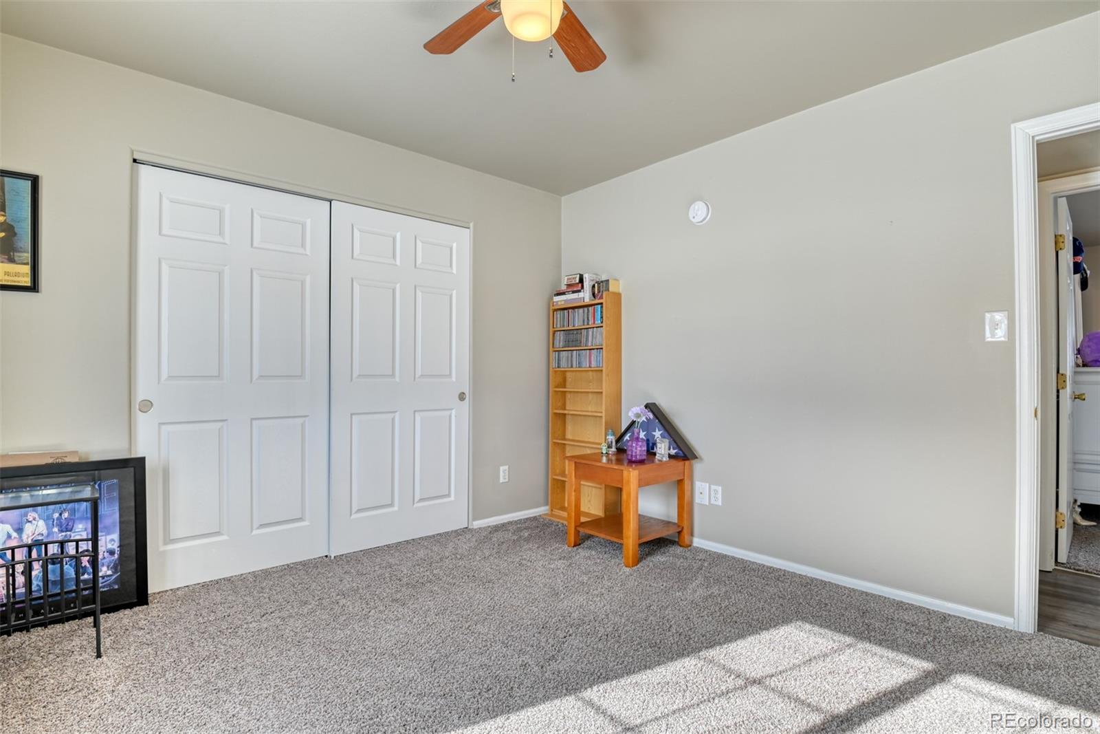 MLS Image #29 for 17  garfield circle,florissant, Colorado