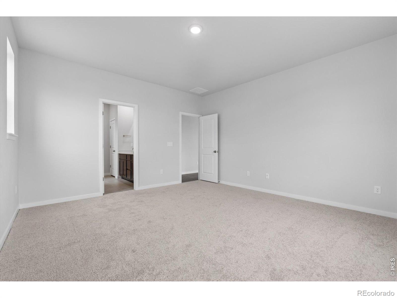 MLS Image #19 for 803  mesic lane,windsor, Colorado