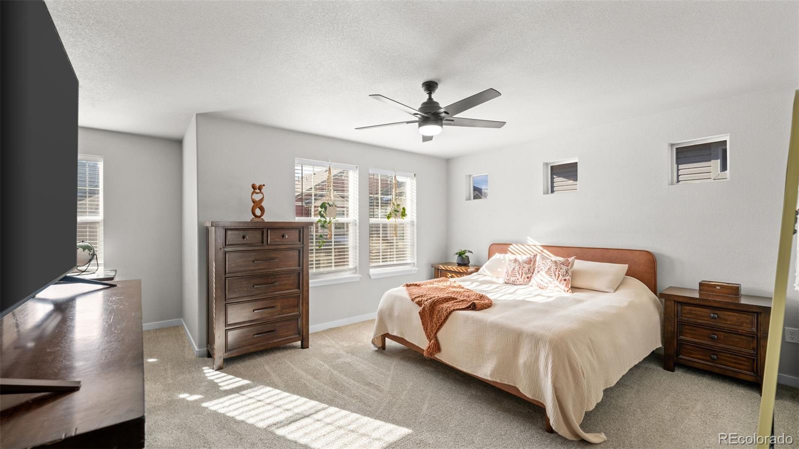 MLS Image #3 for 9443  cashel trail,colorado springs, Colorado
