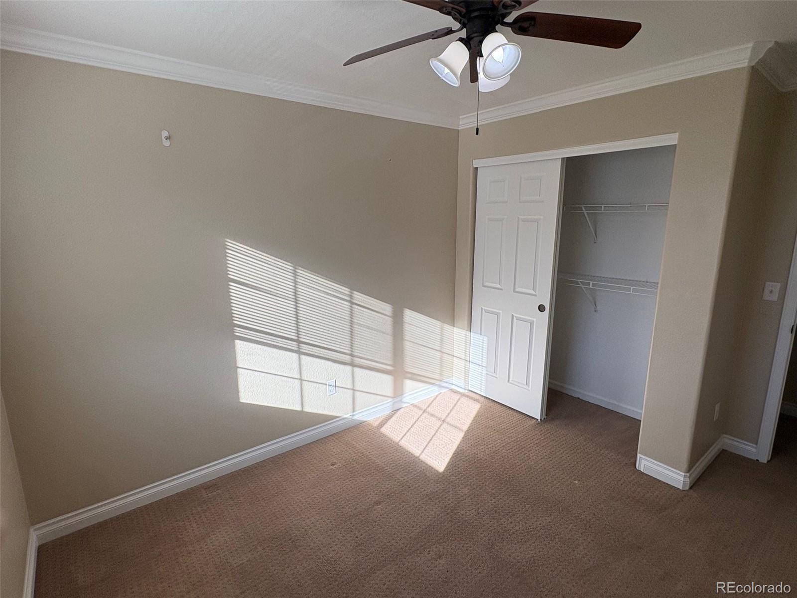 MLS Image #7 for 2667  live oak court ,castle rock, Colorado