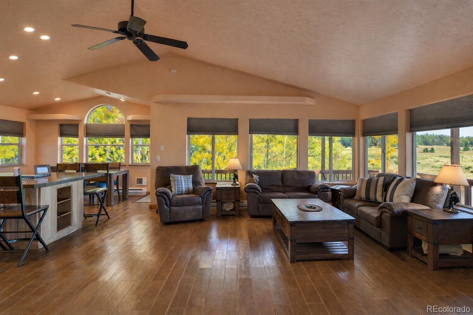 MLS Image #4 for 155  lamb mountain road,fairplay, Colorado