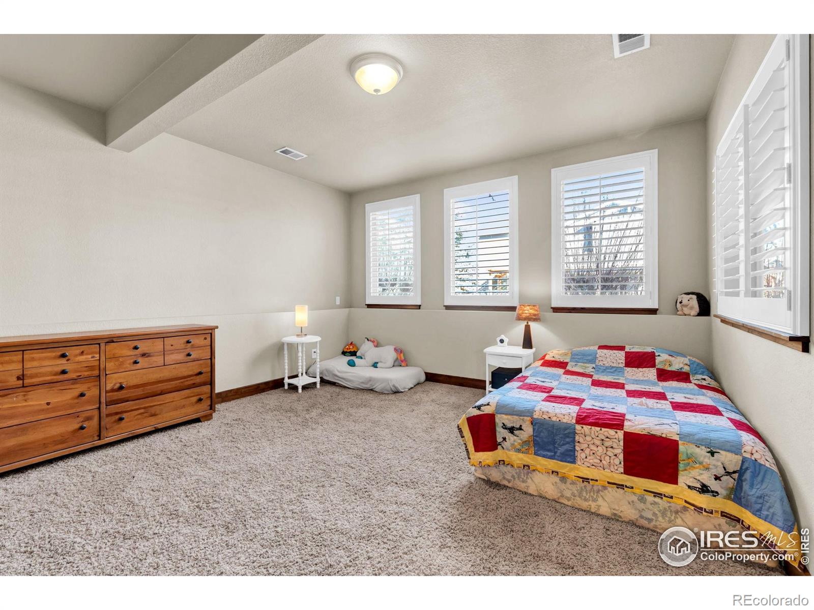 MLS Image #23 for    ,, Colorado