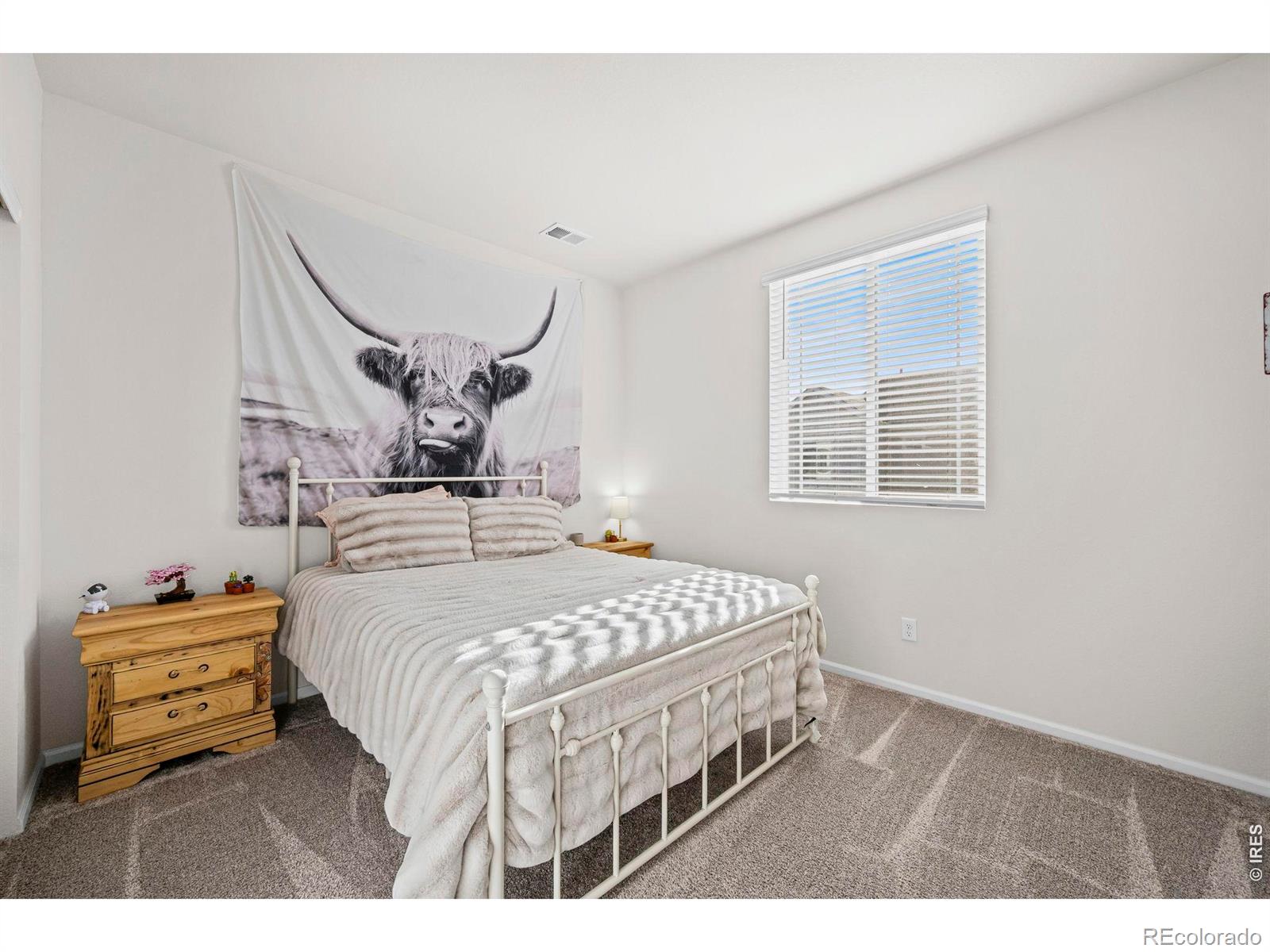 MLS Image #10 for 6262  kinston parkway,loveland, Colorado