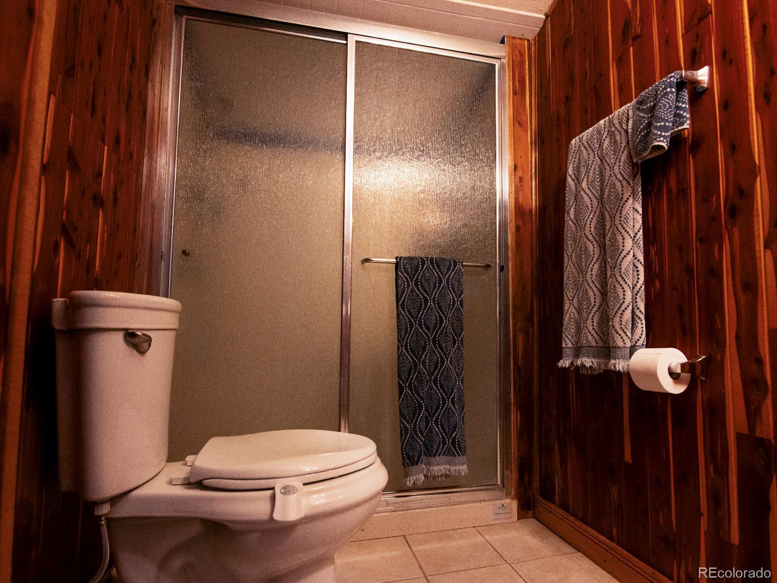 MLS Image #22 for 146 s sherman street,byers, Colorado