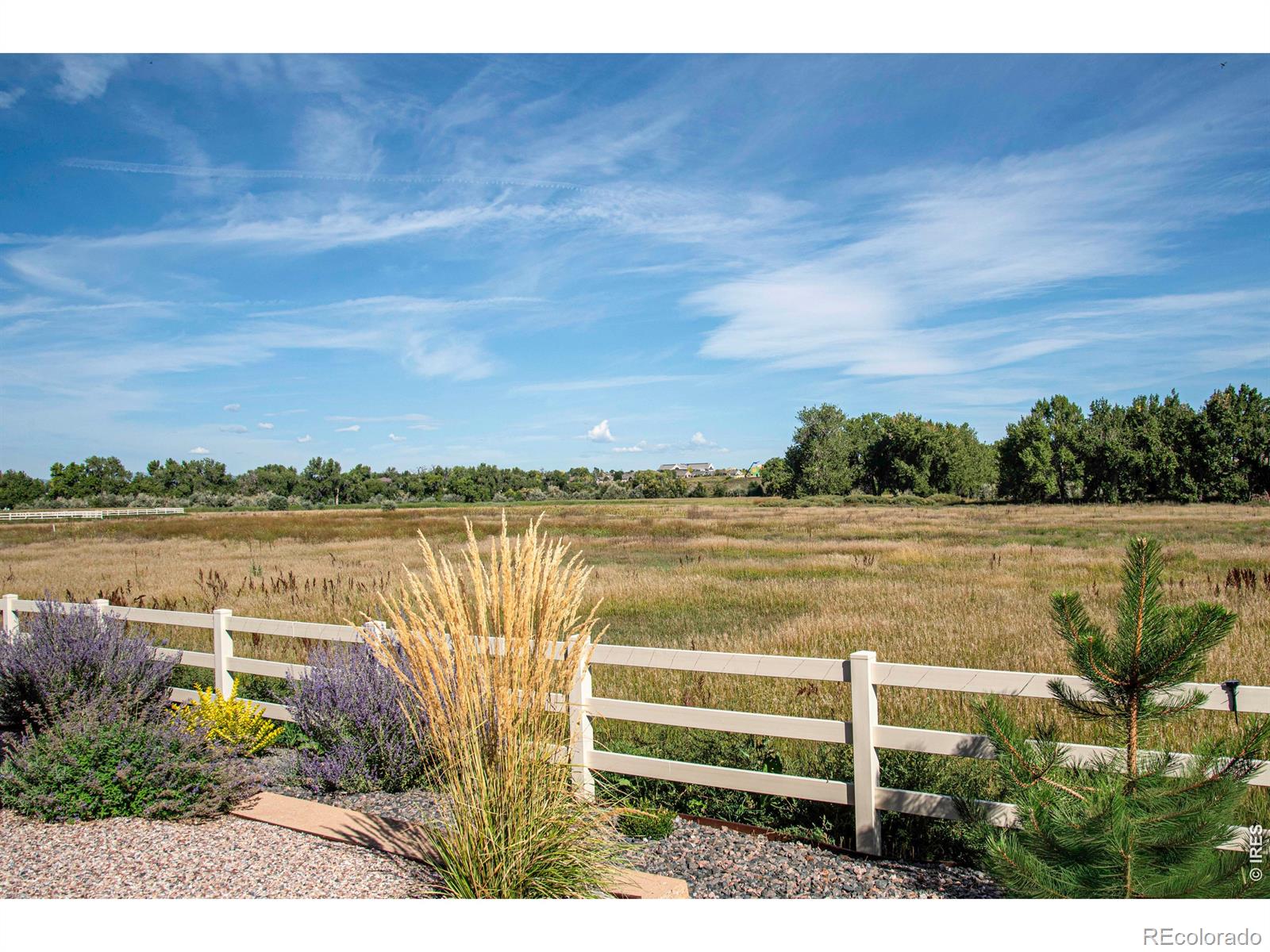 MLS Image #37 for 4187  satinwood drive,johnstown, Colorado