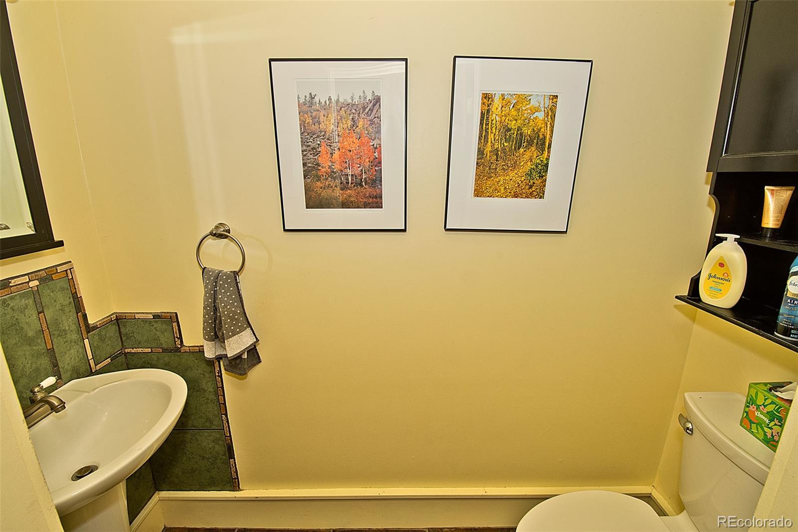 MLS Image #24 for 1552  camino real ,crestone, Colorado