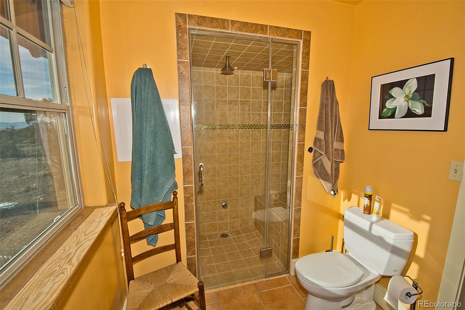 MLS Image #33 for 1552  camino real ,crestone, Colorado