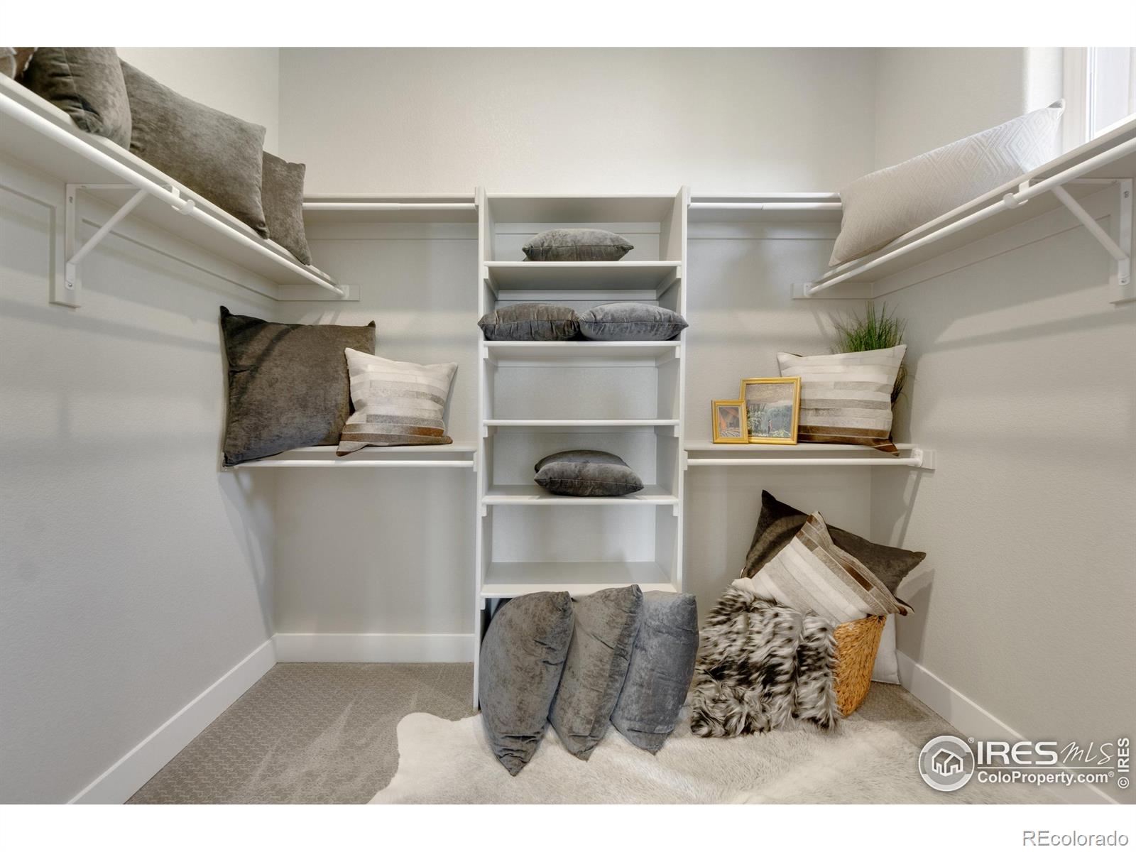 MLS Image #18 for 2039  morningstar way,fort collins, Colorado