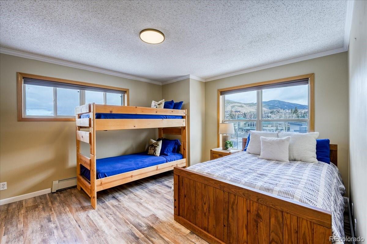 MLS Image #19 for 746 w anemone trail,dillon, Colorado