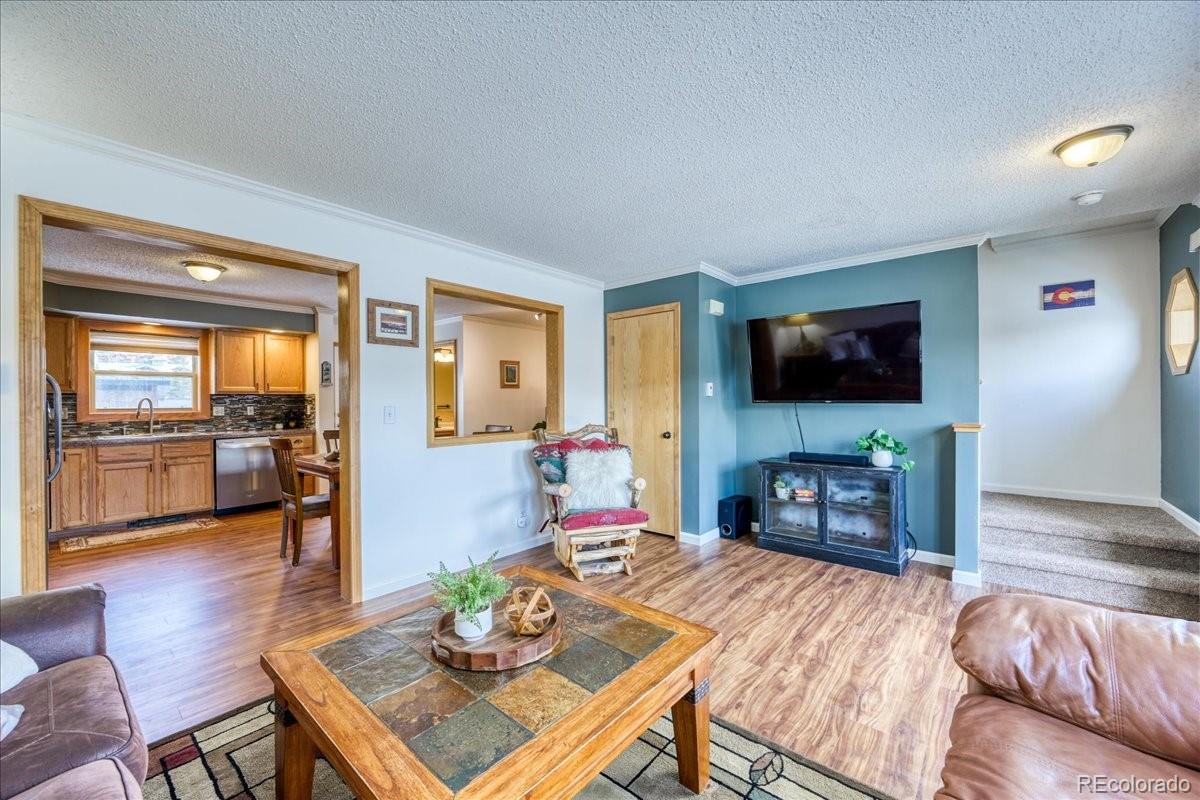 MLS Image #2 for 746 w anemone trail,dillon, Colorado