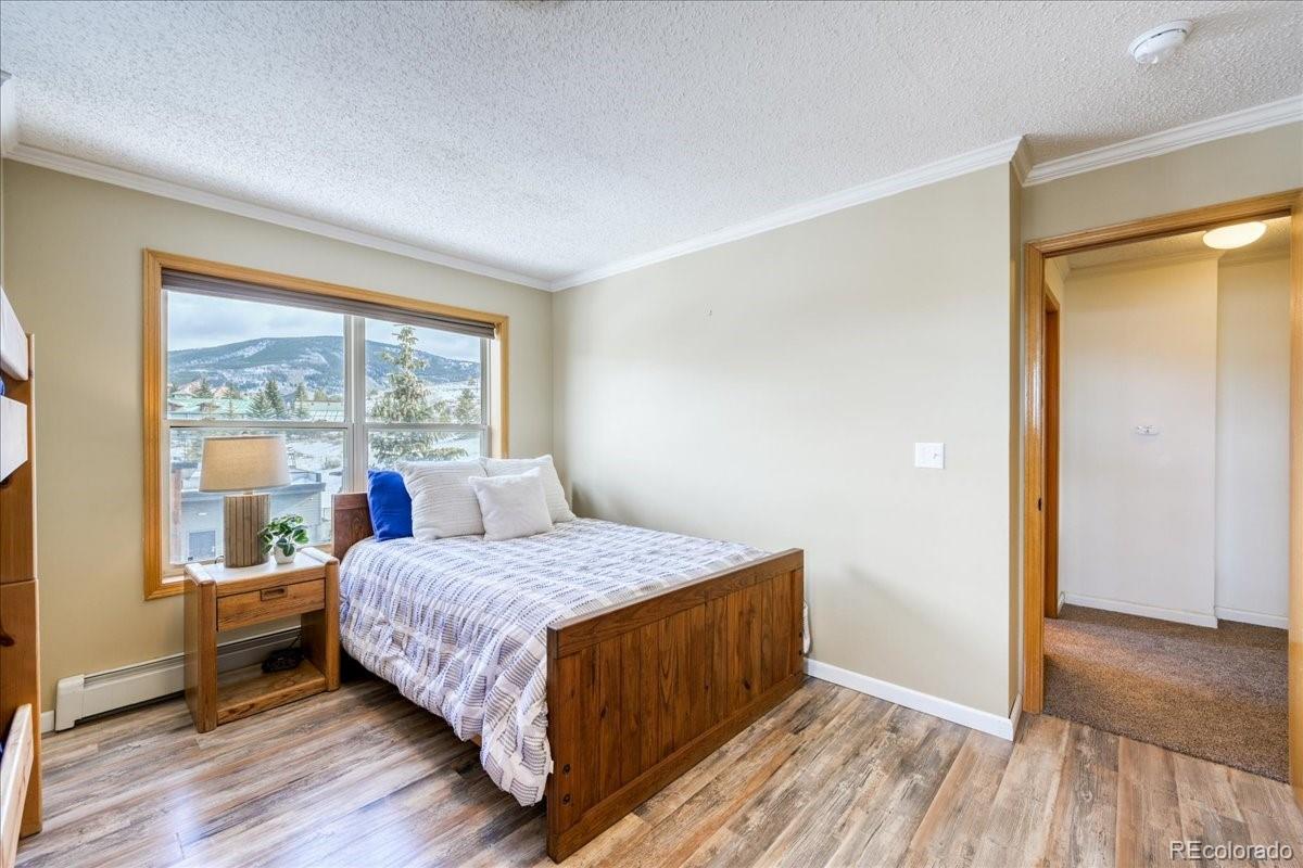 MLS Image #20 for 746 w anemone trail,dillon, Colorado