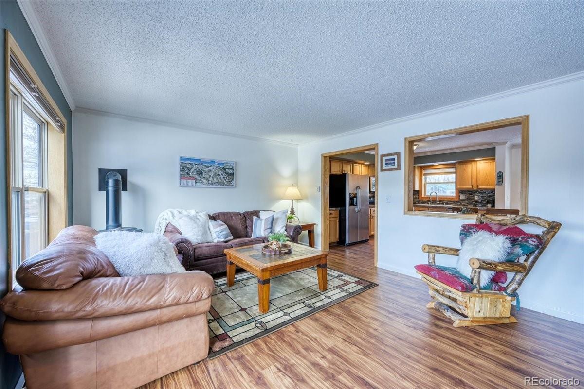 MLS Image #3 for 746 w anemone trail,dillon, Colorado
