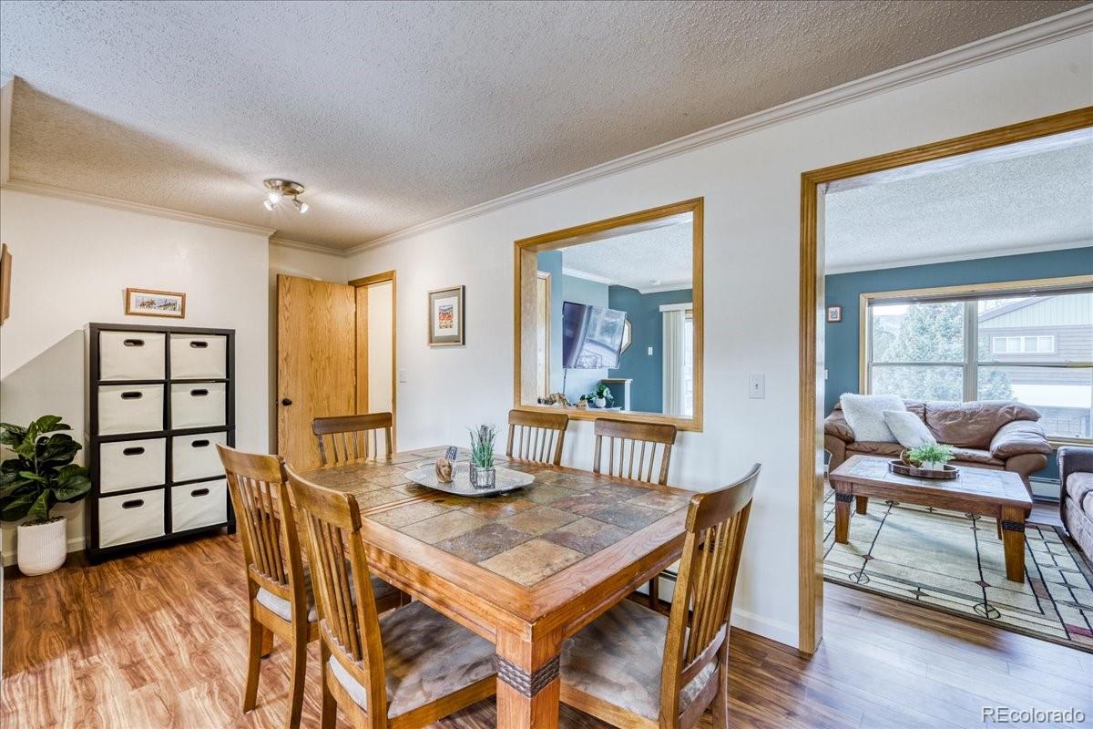 MLS Image #9 for 746 w anemone trail,dillon, Colorado