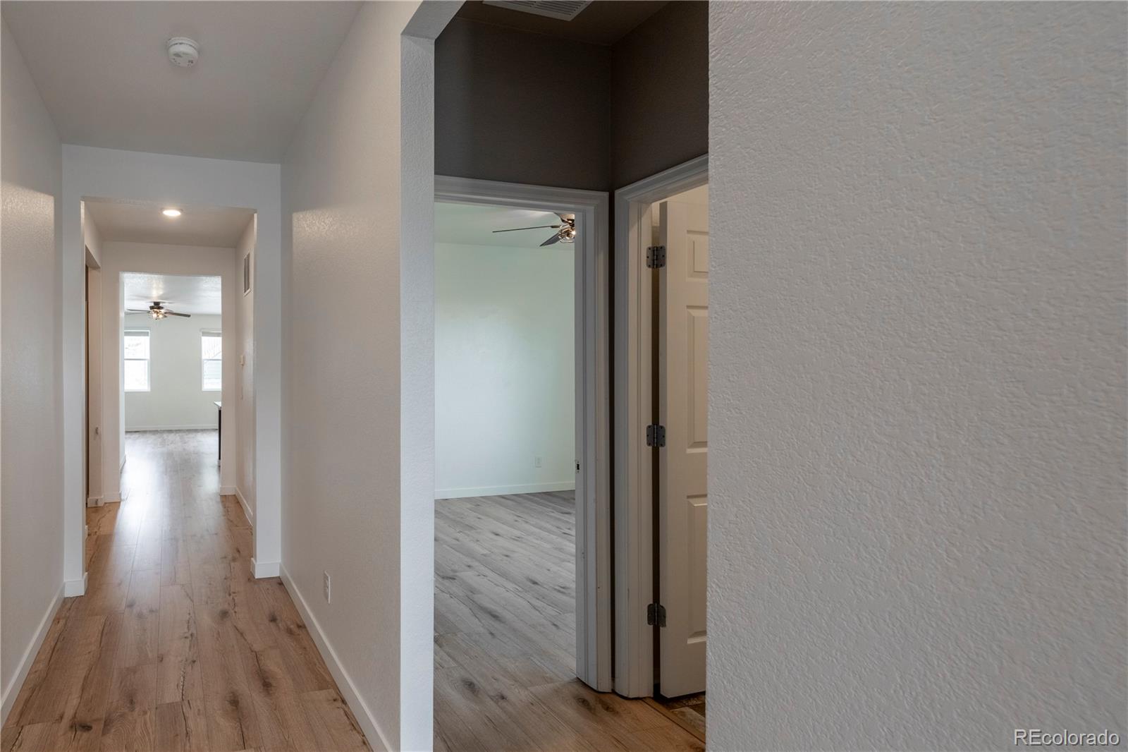 MLS Image #2 for 2099  shadow rider circle,castle rock, Colorado