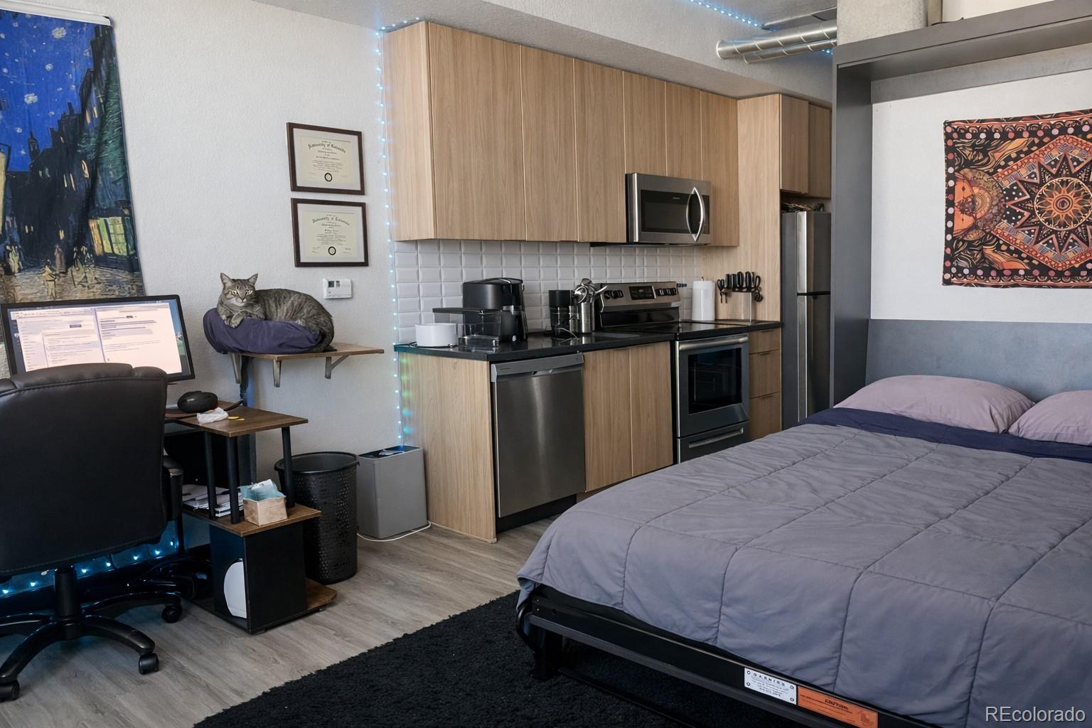 MLS Image #12 for 603  inca street,denver, Colorado