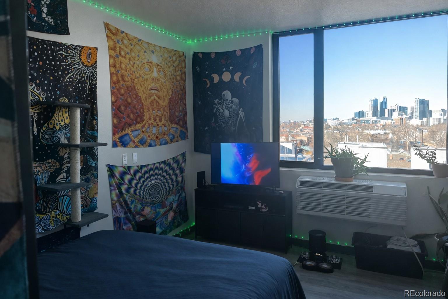 MLS Image #9 for 603  inca street,denver, Colorado