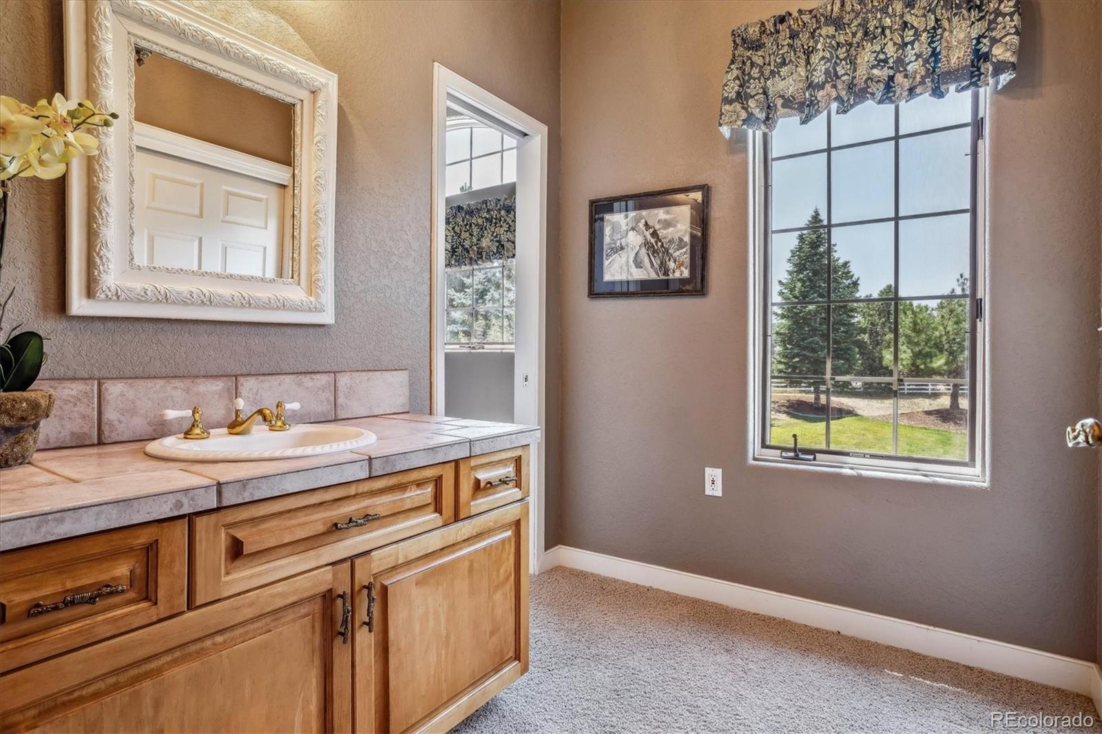 MLS Image #28 for 9983  heather drive,castle rock, Colorado