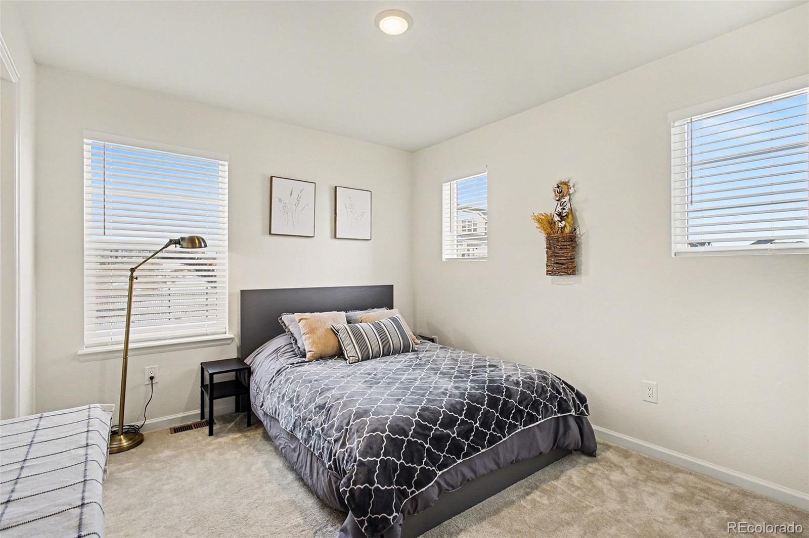 MLS Image #14 for 1871  rose quartz heights ,colorado springs, Colorado
