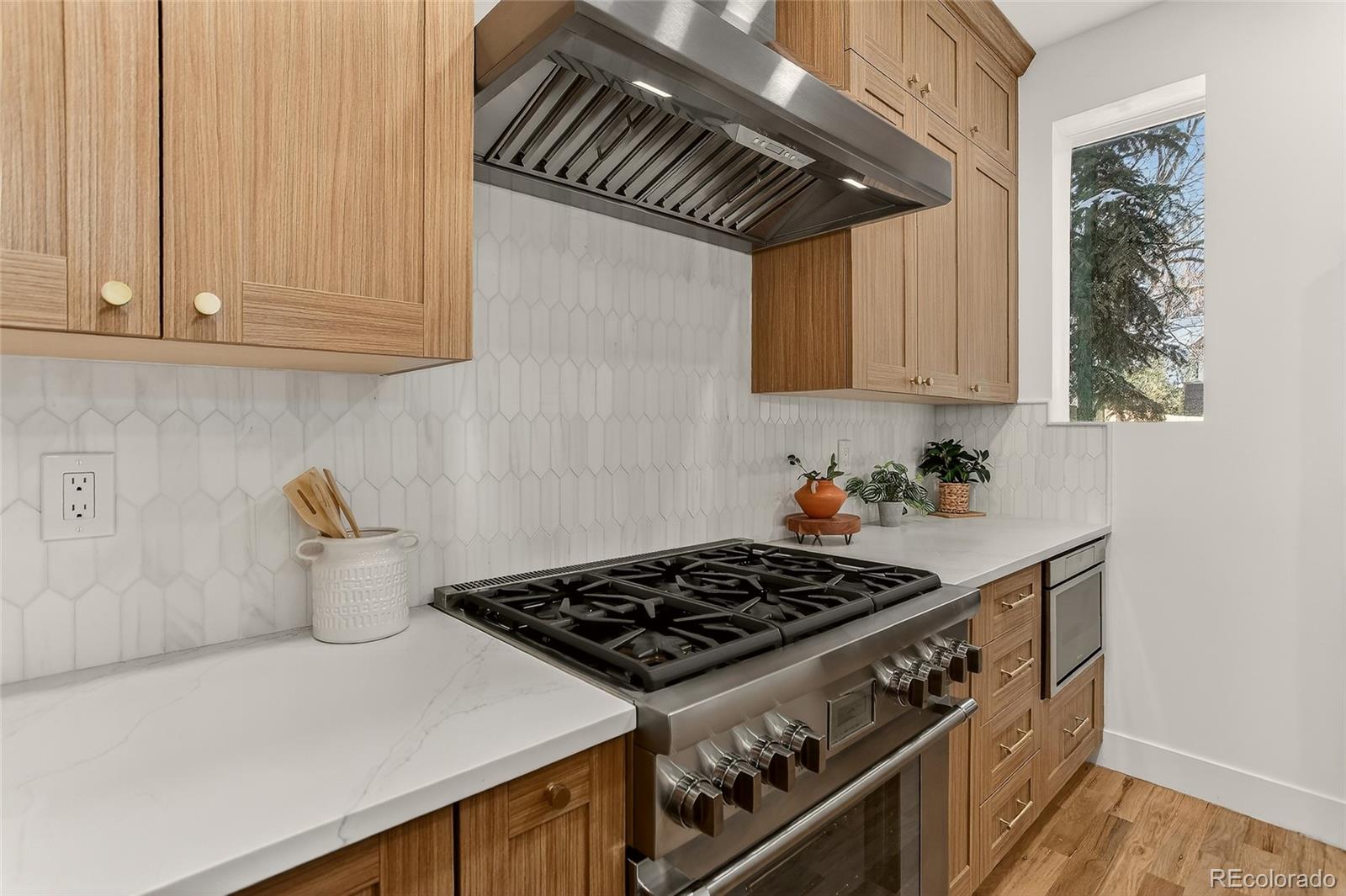 MLS Image #13 for 734 n downing street,denver, Colorado